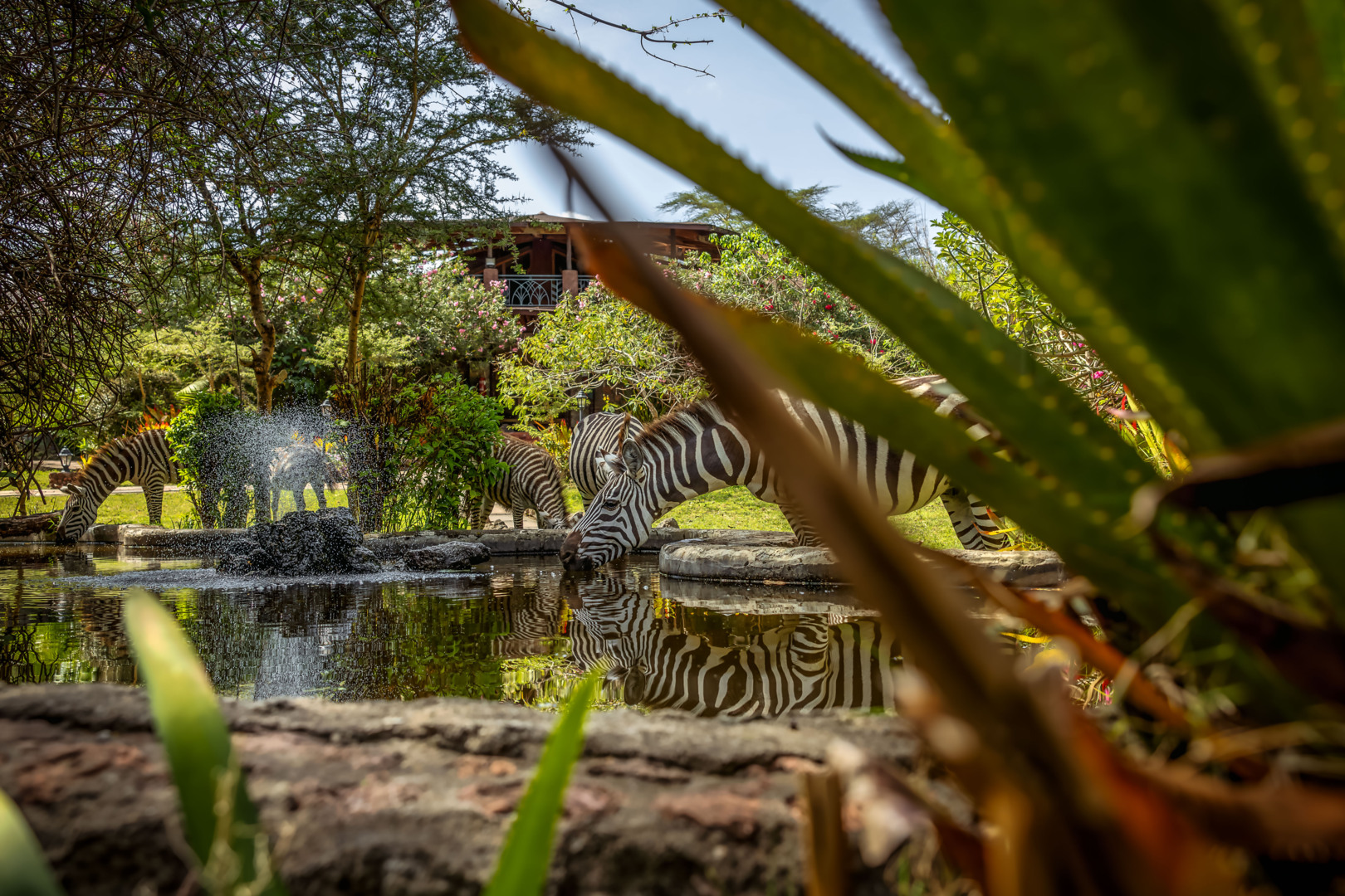 Lake Naivasha Sopa Resort image 5